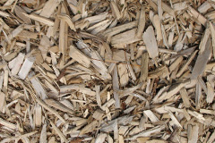 biomass boilers Ashurst Wood